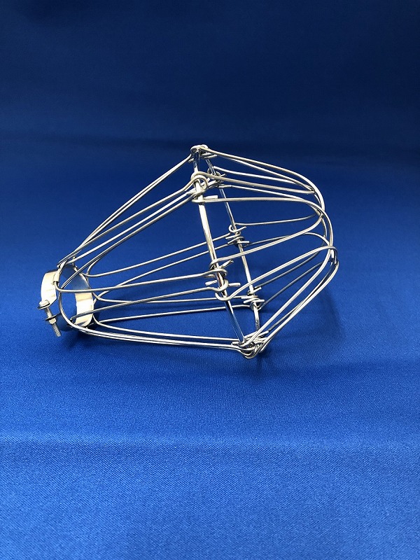 light_bulb_guard_FL1